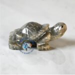 MLT-1 - Image 2