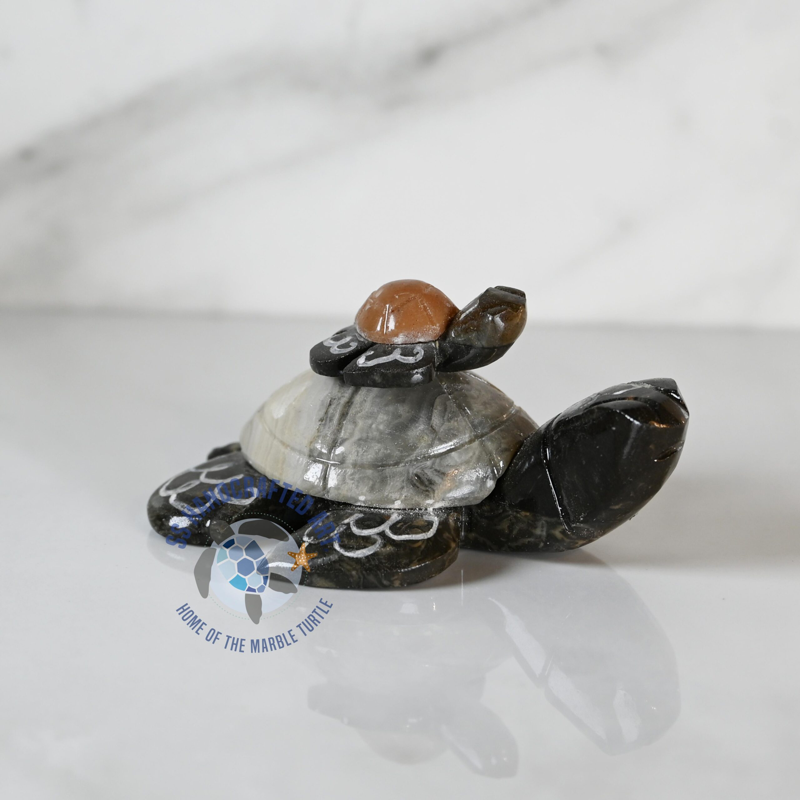 MTB-3 MTB-3 - Image 1