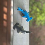 Miguel the Marble Hammerhead Shark