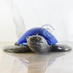 Barb the Marble Blue Turtle