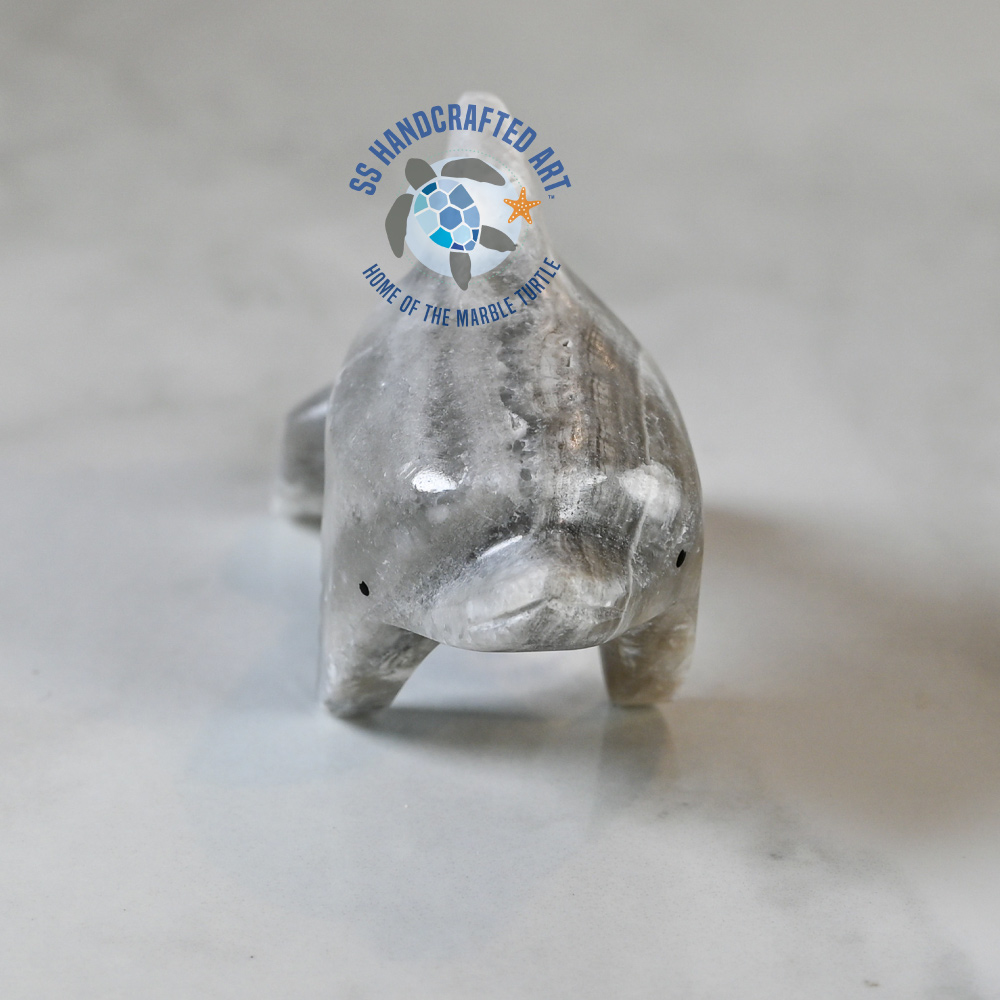 MD-3-2024-01 Atharv the Marble Dophin - Image 1