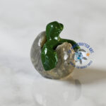 Bianca  the Marble Hacthling - Image 3