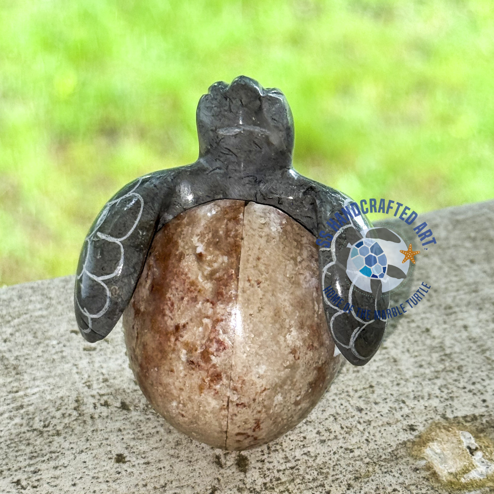 ME-5-2024-01 Reagian the Marble Hacthling - Image 1
