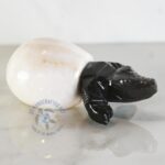 Krie  the Marble Hacthling Croc