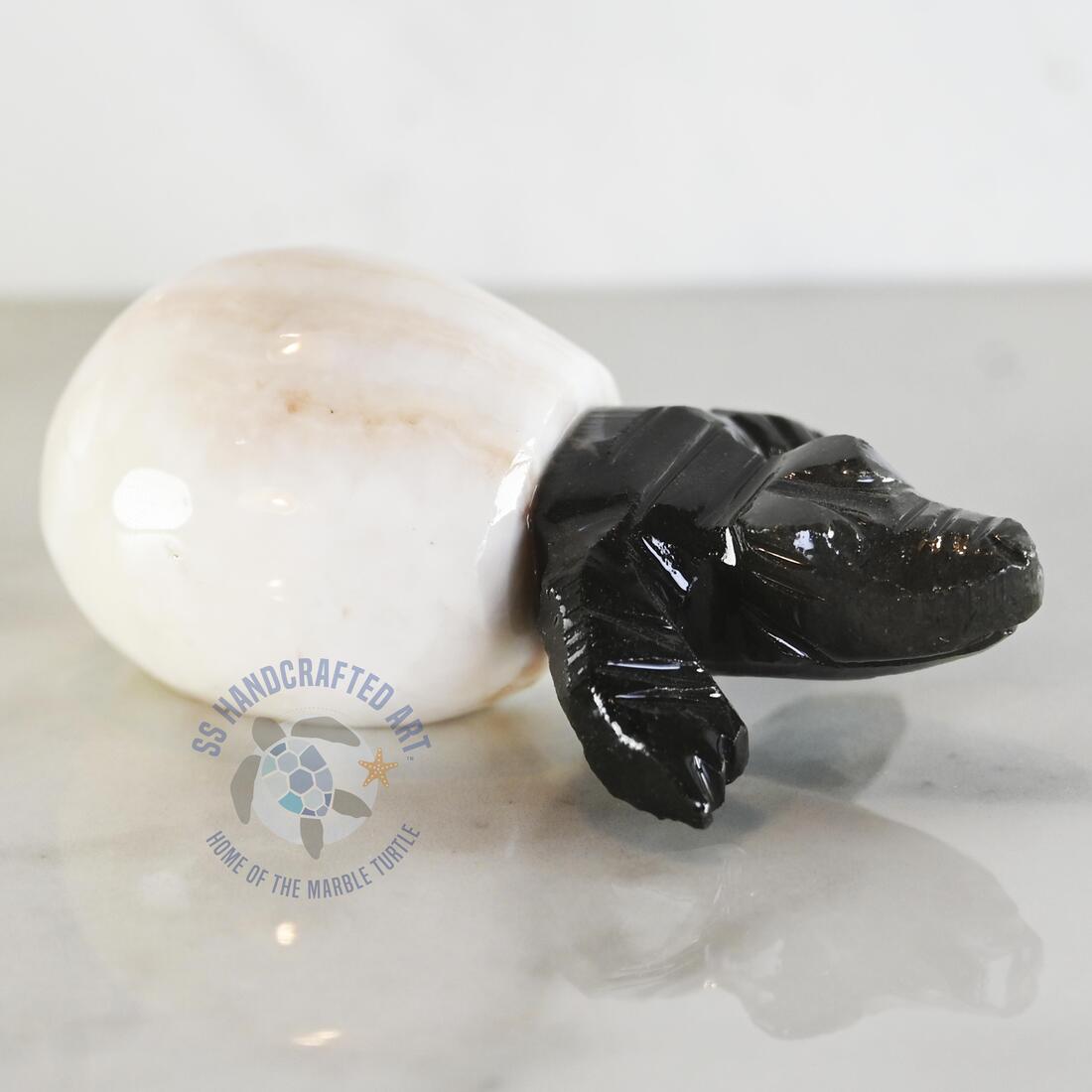MEC-2 2024-01 Krie the Marble Hacthling Croc - Image 1