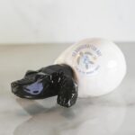 Krie  the Marble Hacthling Croc - Image 2