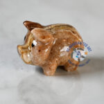 Juno the Marble Pig