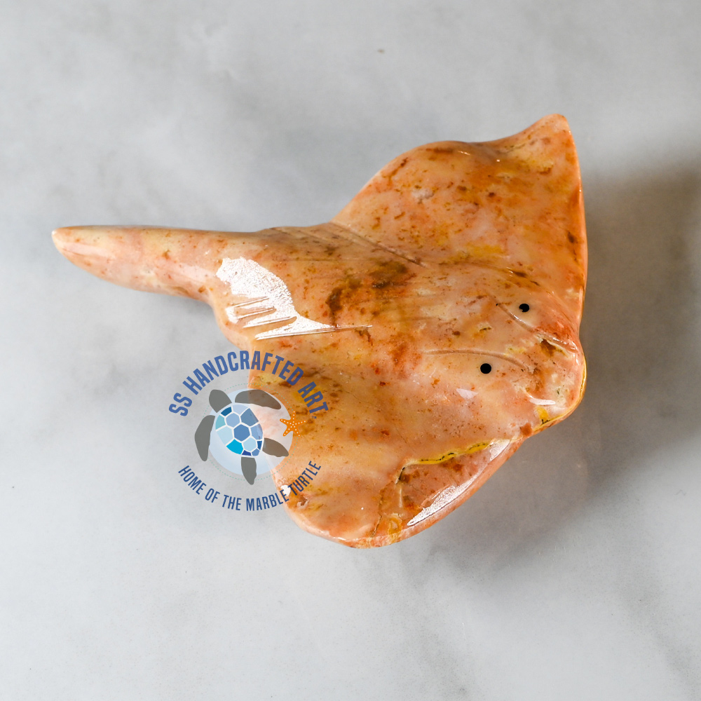 MS-6-2024-01 Misha the Marble Stingray - Image 1
