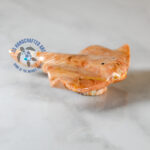Misha the Marble Stingray - Image 2