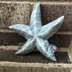 Idalia the Marble Starfish - Image 2