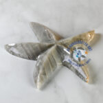 Idalia the Marble Starfish - Image 3