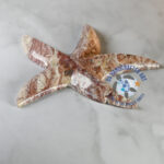 Mimi the Marble Starfish