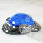 Bobby the Marble Jewerly Box Turtle Blue