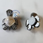 Magnet with Turtle