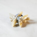 Marble Starfish Magnet 2" Natural - Image 3