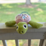 Kade the Knitted Turtle