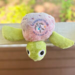 Kade the Knitted Turtle - Image 2
