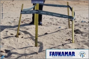 fundamar3