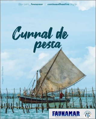 fundamar4